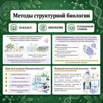 Презентация по биологии «Методы структурной биологии» (10 класс, углубленный уровень)