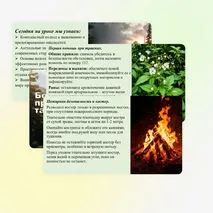 Презентация «Безопасность в природной среде: тактика действий». ОБЗР, 11 класс