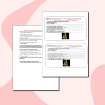 Карточка-пятиминутка по истории Древнего мира по теме: 