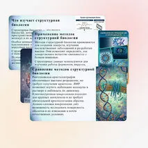 Презентация «Методы структурной биологии» (углубленный уровень)