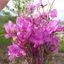 Автор материала