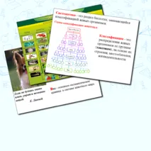 Презентация по биологии.Основные систематические категории животных.