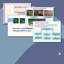Презентация по биологии. 11 класс. Тема: «Естественный отбор и его формы».