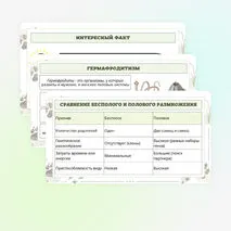 Презентация по биологии «Формы размножения животных»