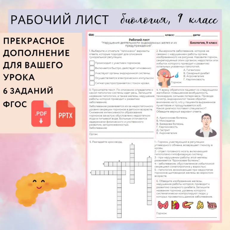 Рабочий лист 