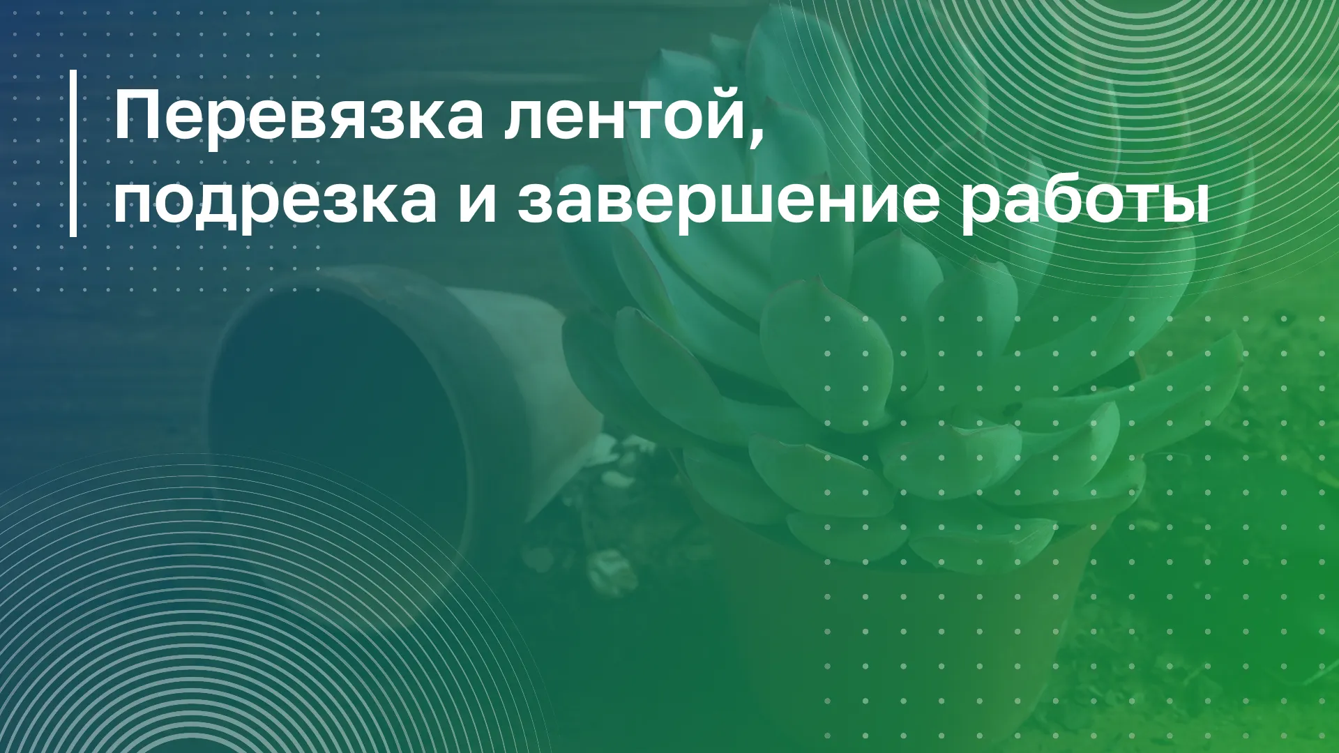 Обложка курса