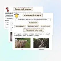 Презентация 