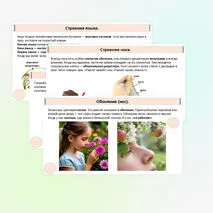 Презентация «Как устроены и работают органы чувств».