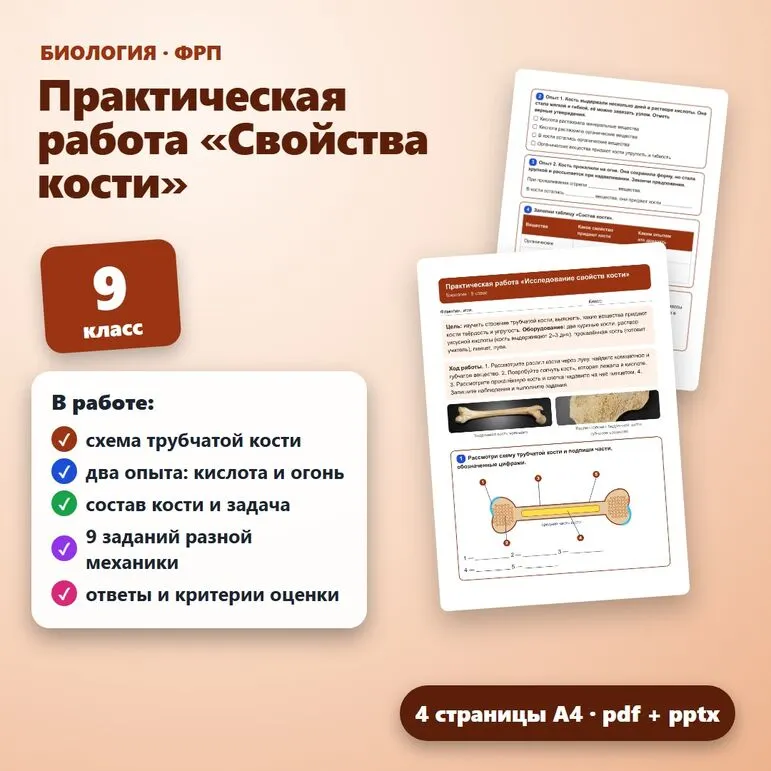 Практическая работа «Исследование свойств кости» по биологии для 9 класса