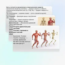 Презентация Опорно-двигательная система. Состав, строение и рост костей