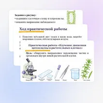 Презентация 