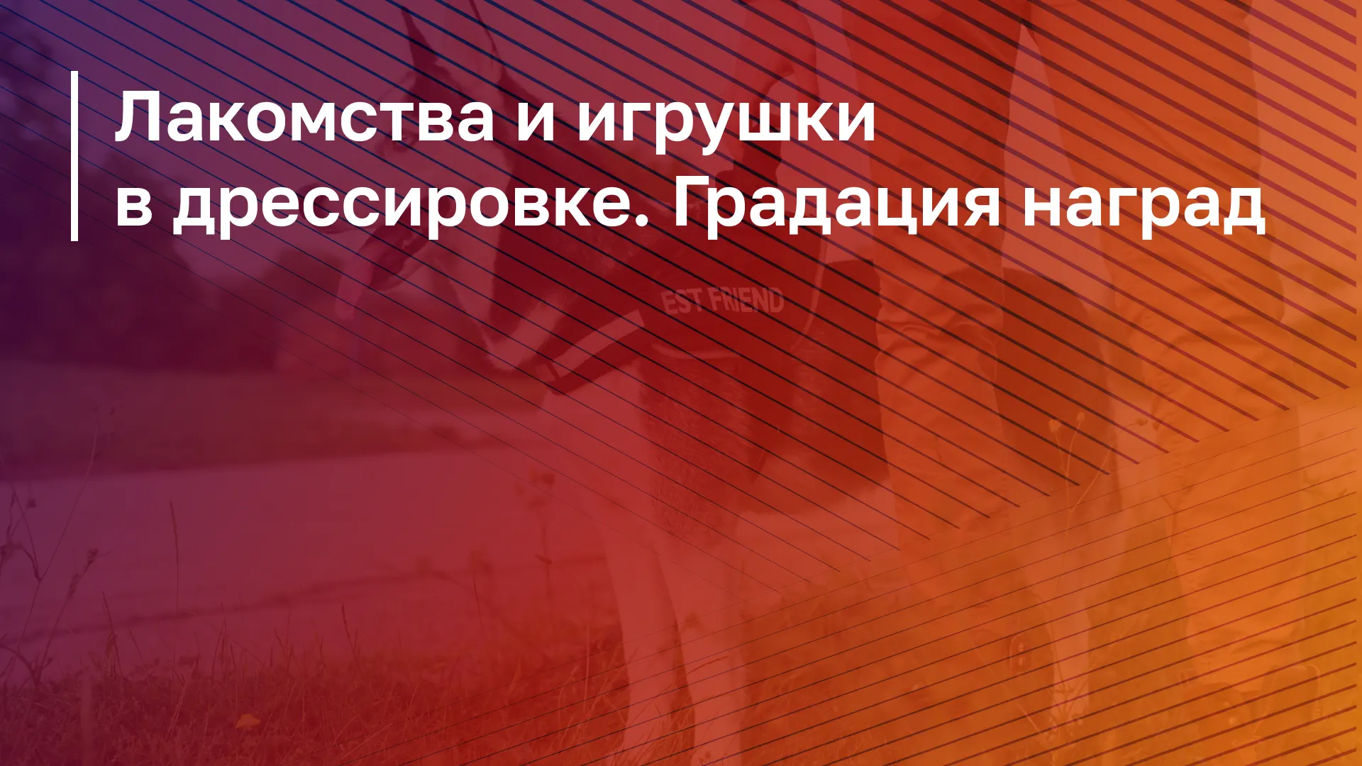 Обложка курса