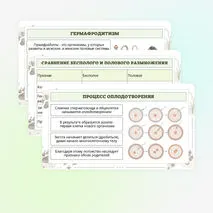 Презентация по биологии «Формы размножения животных»