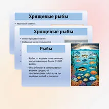 Презентация по биологии «Хрящевые и костные рыбы» 8 класс