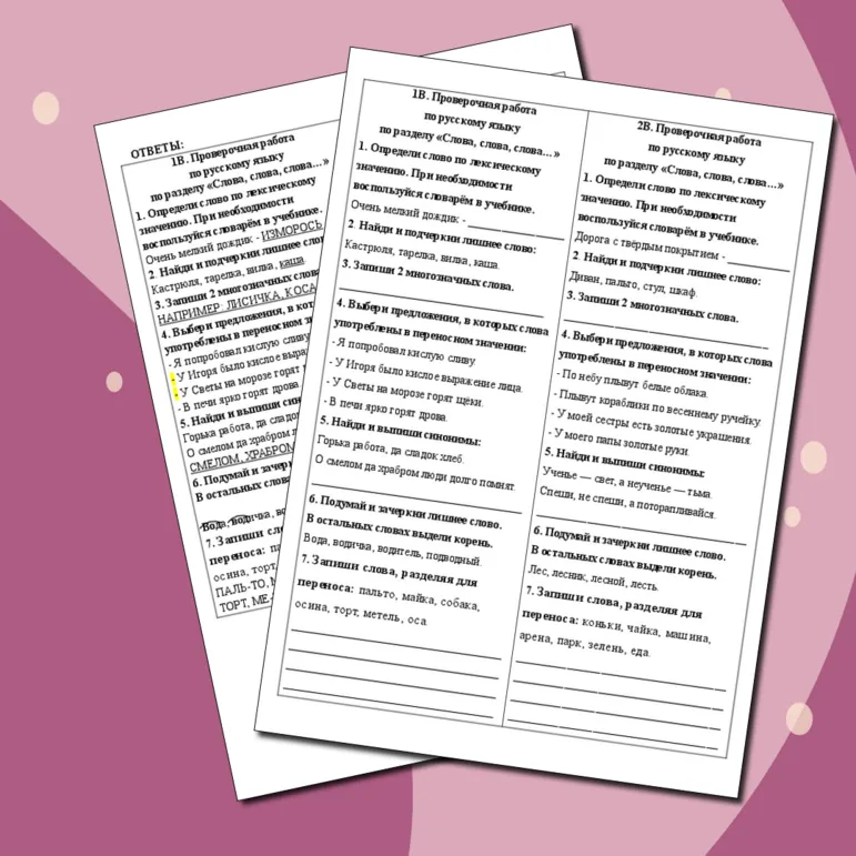 Проверочная работа по русскому языку по разделу 