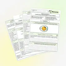 Практическая работа по биологии «Строение яйца и развитие зародыша птицы (курицы)»