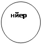 Овал: нйер