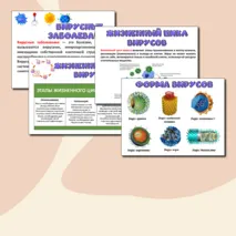Презентация «Вирусы - неклеточная форма жизни». Биология 10 класс.