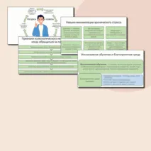 Презентация по ОБЗР «Психическое здоровье и психологическое благополучие» (11 класс, урок № 12)