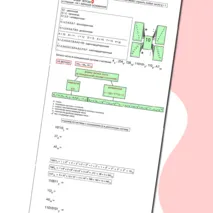 Системы счисления. Перевод из одной СС в другую. 8 класс