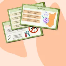Презентация по биологии по теме «Многообразие и значение простейших в природе и в жизни человека»