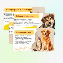 Презентация «День защиты животных. Всемирный день животных».