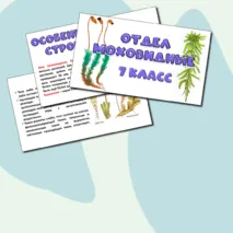 Презентация «Отдел моховидные». Биология 7 класс.