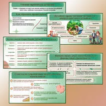 Презентация 