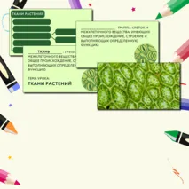 «Растительные ткани, их функции», 6 класс