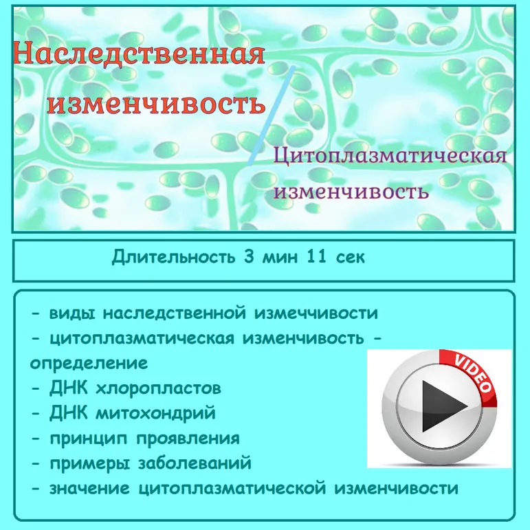 Видеоурок «Цитоплазматическая изменчивость» Биология 10 кл (углубленный уровень)