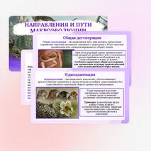 Презентация по биологии «Направления и пути макроэволюции» для 11 класса