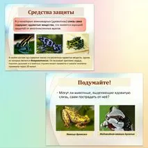 Комплект к уроку биологии 