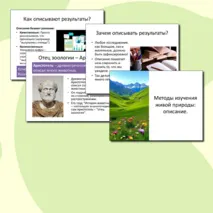 Презентация Описание результатов исследований 5 класс