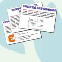 Презентация «Ферменты-биологические катализаторы». Биология 10 класс.