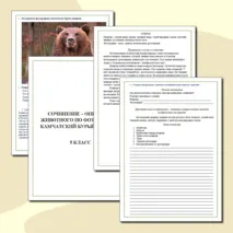 Рабочий лист. Сочинение-описание по фотографии 