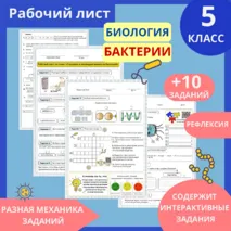 Рабочий лист: 