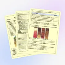 Тест по окружающему миру по теме «Что такое почва?» 3 класс