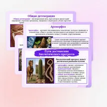 Презентация по биологии «Направления и пути макроэволюции» для 11 класса