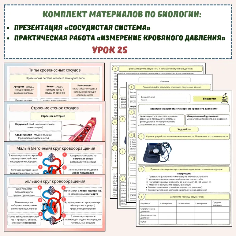 Комплект материалов по биологии (презентация «Сосудистая система» и практическая работа «Измерение кровяного давления»)