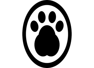 Picture background