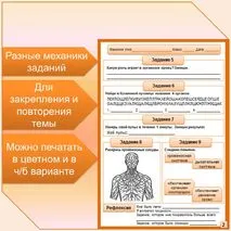 Рабочий лист по теме 