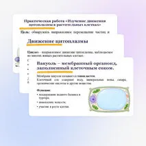 Презентация 