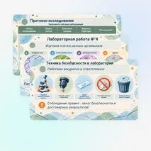 Презентация 