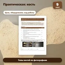 Практическая работа по биологии «Исследование свойств кости», 9 класс. Пасечник.