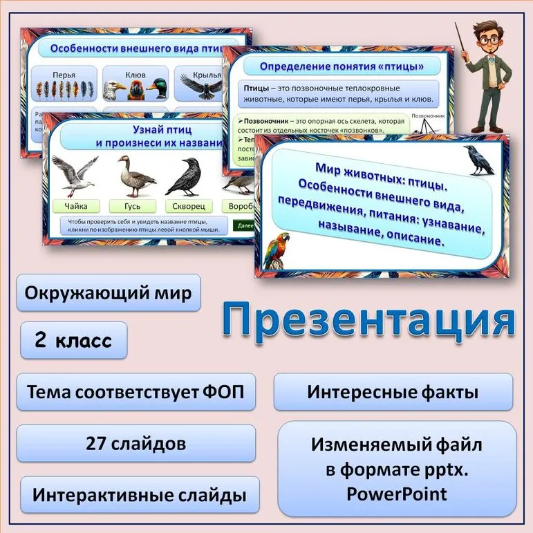 Презентация «Мир животных: птицы. Особенности внешнего вида, передвижения, питания: узнавание, называние, описание»