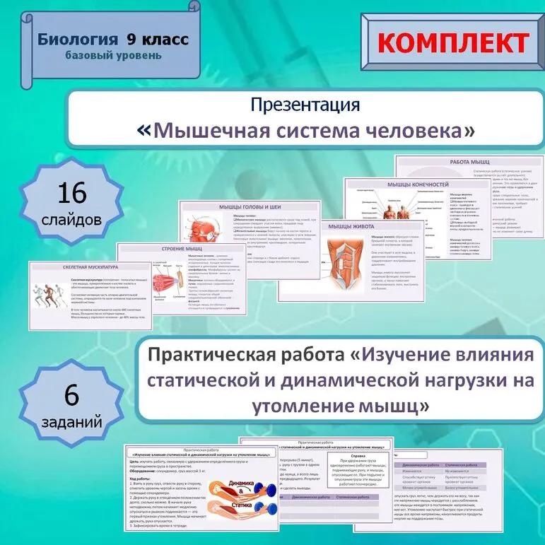 Презентация 