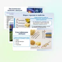 Презентация по биологии «Углеводы. Липиды» для 10 класса