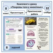 Комплект (презентация + рабочий лист) «Покровы тела животных. Практическая работа «Изучение покровов тела у животных» 8 класс