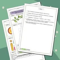 Практическая работа «Выявление передвижения воды и минеральных веществ по древесине»
