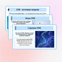 Презентация по биологии «Нуклеиновые кислоты. АТФ» для 10 класса